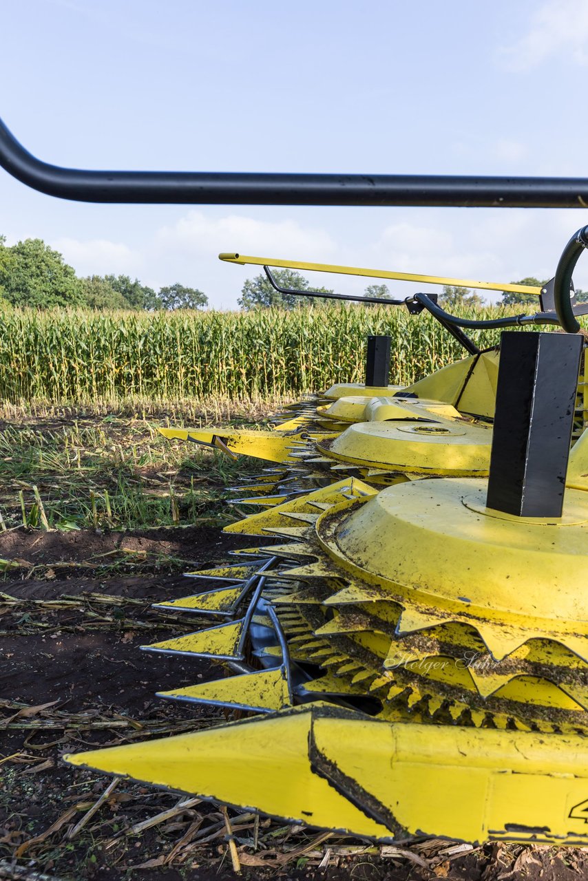 Bild 237 - Maisernte